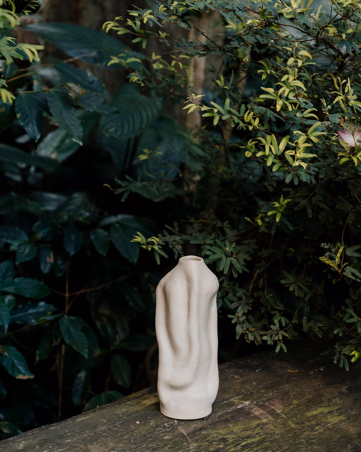 Peça da série Corpos entre plantas